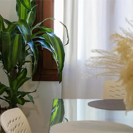 Dga Loft Apartamento Padua