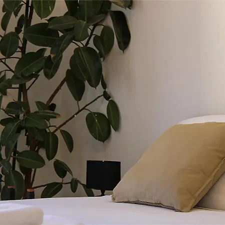 Dga Loft Apartament *